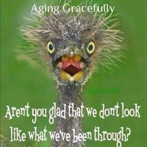 Meet your Posher, Jodie